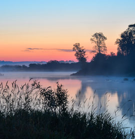 funeral cost estimator