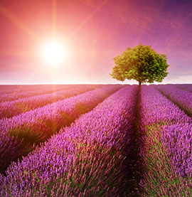 funeral service reviews