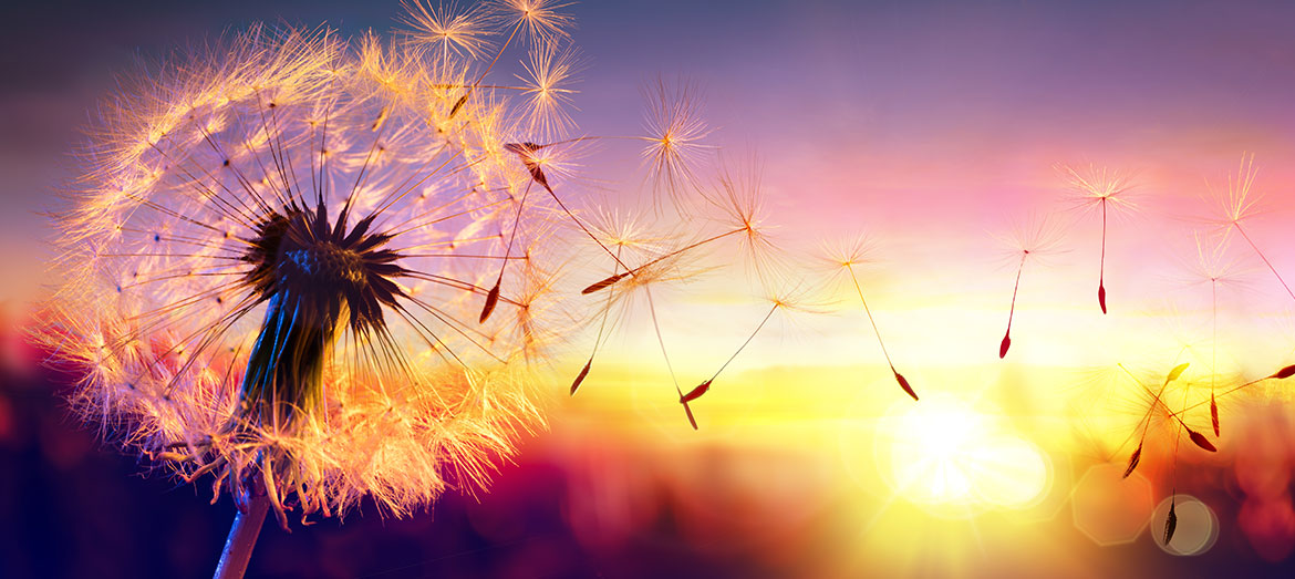 Michael J Walsh funeral directors tributes and donations